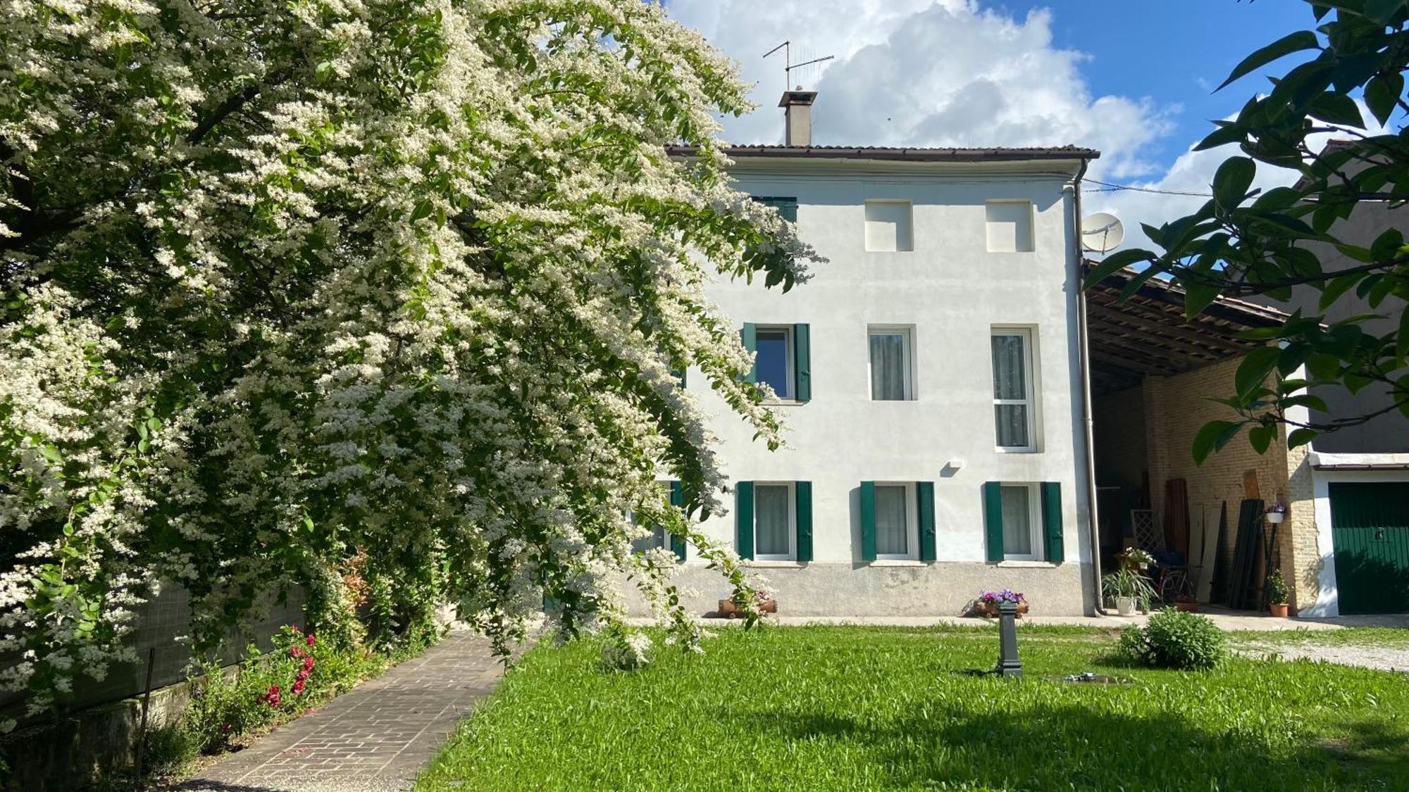 Magnolia 41 Διαμέρισμα Possagno Εξωτερικό φωτογραφία